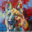 German Shepherd III